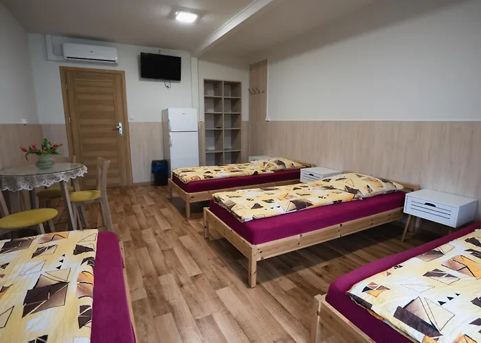 Noclegi Auberge de jeunesse Ruda Slaska